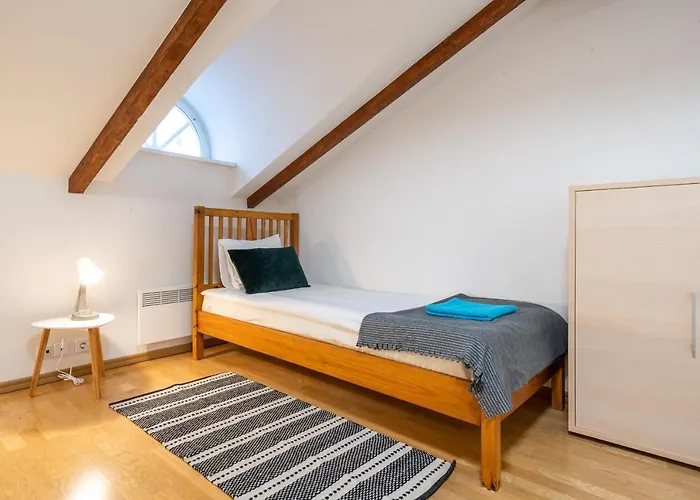 Old Town - Vana Viru Apartment