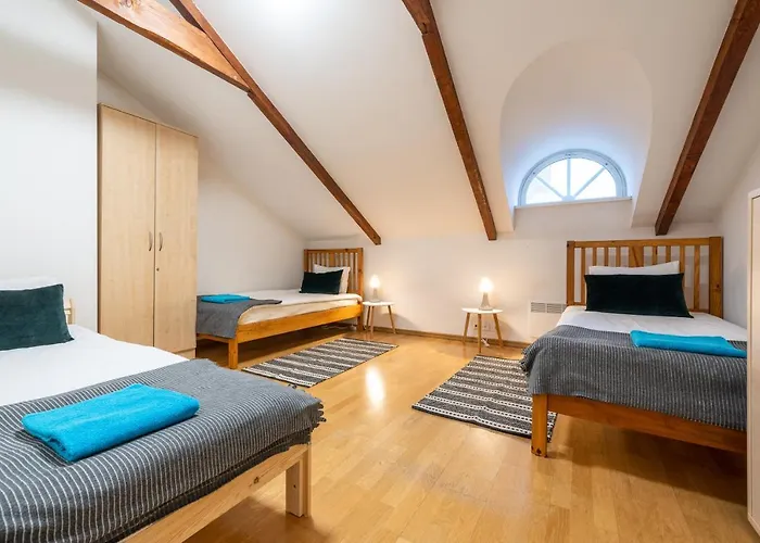 Old Town - Vana Viru Apartment *